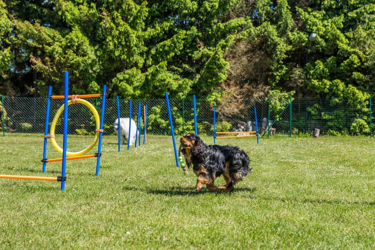 Domy Morskie Dog Friendly Янтар Екстериор снимка