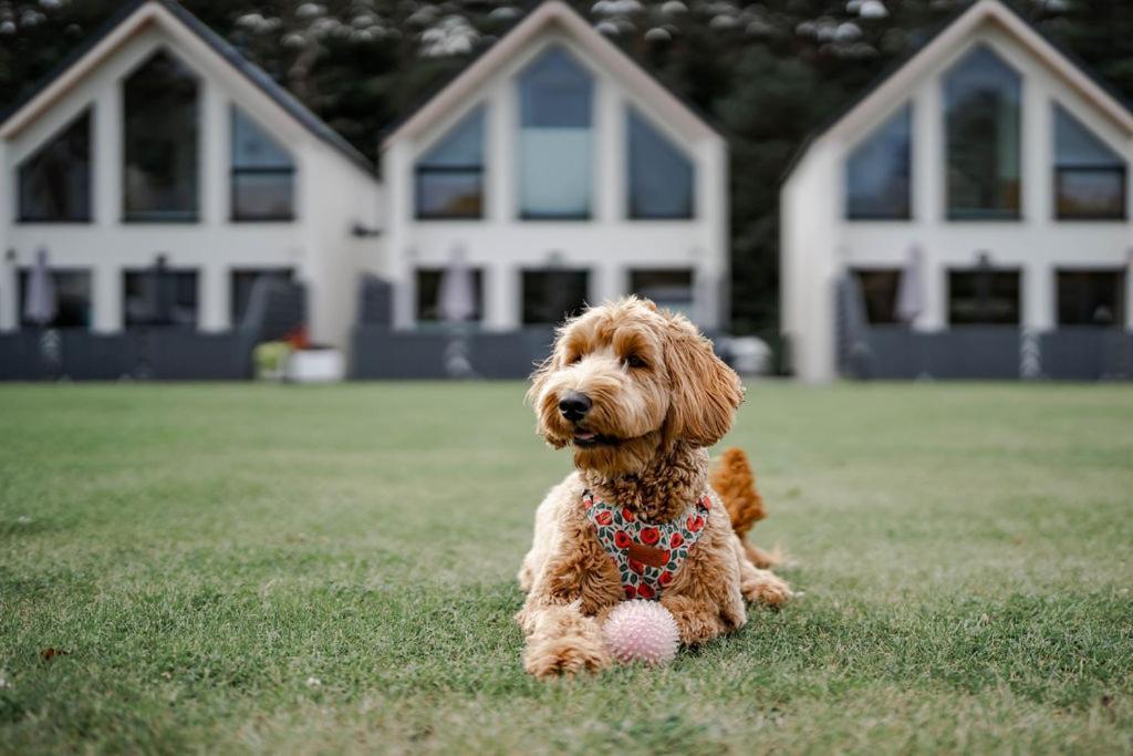 Domy Morskie Dog Friendly Янтар Екстериор снимка